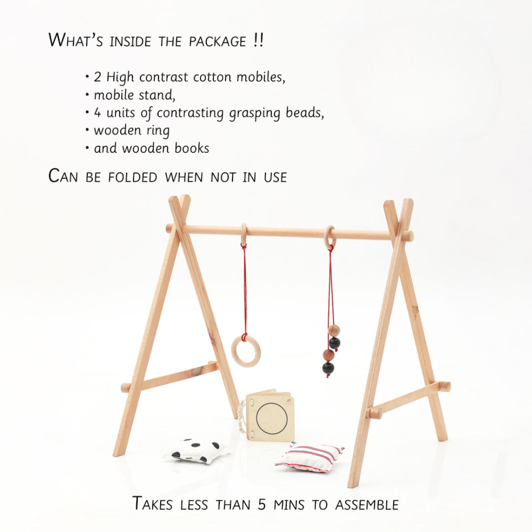 Baby Floor Gym & Mobile 016